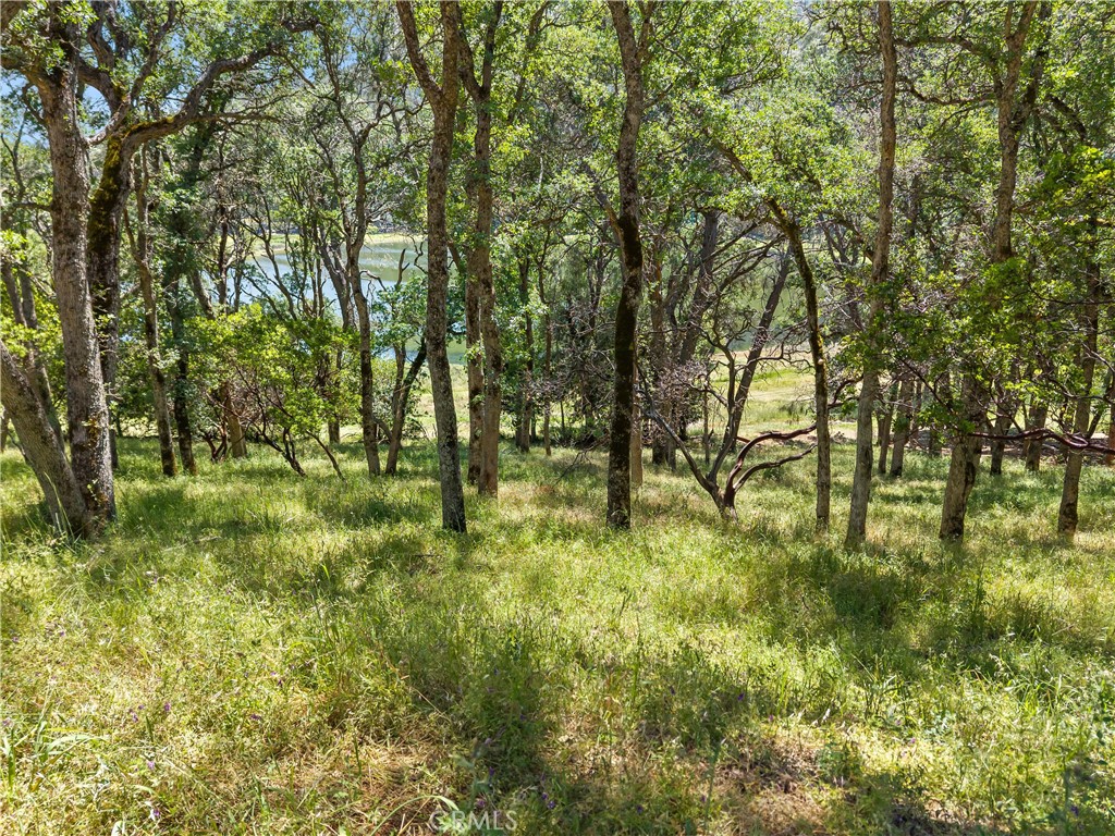 8239 Little Borax Lake Rd Property Photo 7