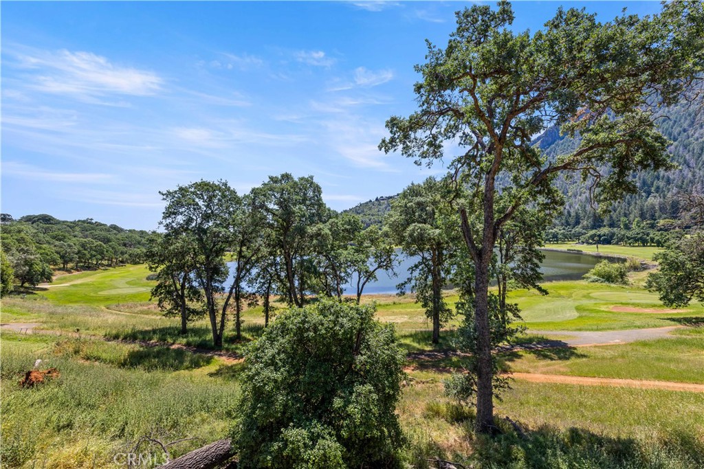 8239 Little Borax Lake Rd Property Photo 8