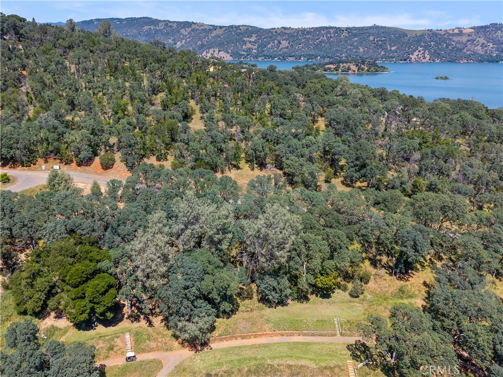 8239 Little Borax Lake Rd Property Photo 9