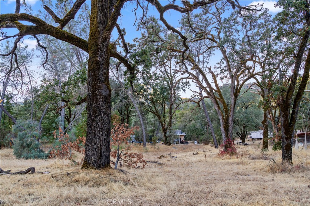 23800 West Road Property Photo 26