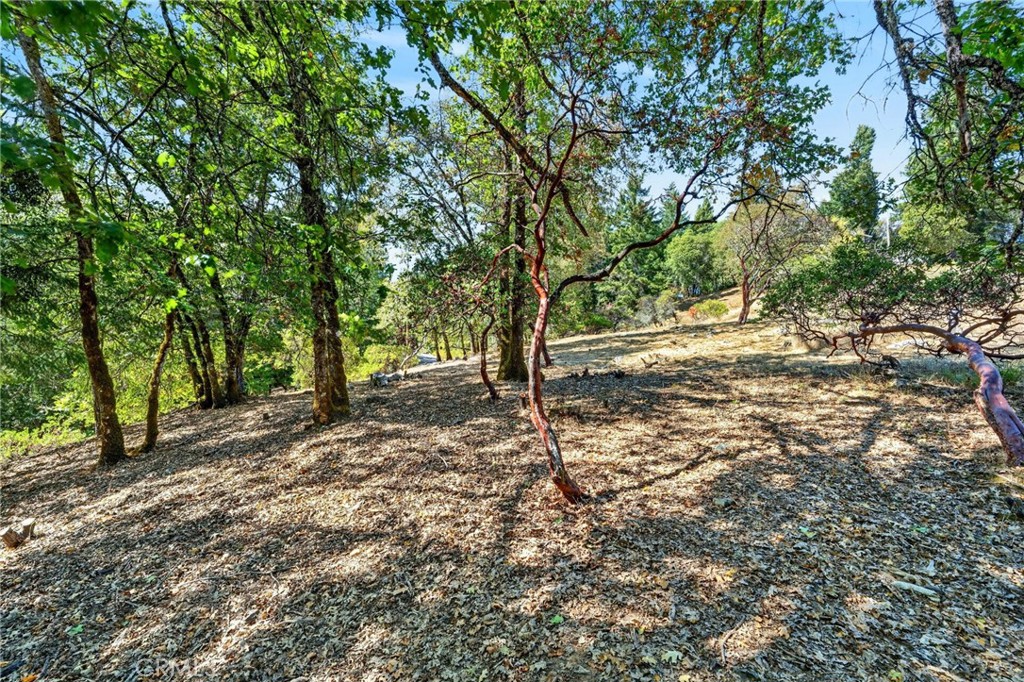 1755 Lupine Property Photo 34