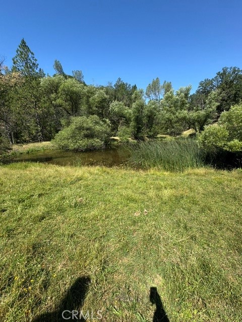12955 Bottle Rock Property Photo 11