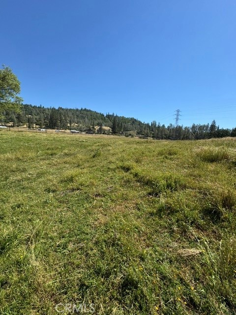 12955 Bottle Rock Property Photo 12