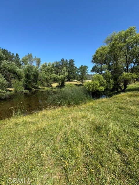 12955 Bottle Rock Property Photo 13