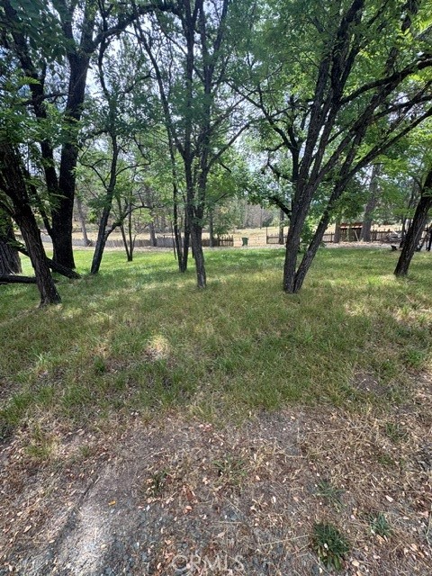 12955 Bottle Rock Property Photo 17