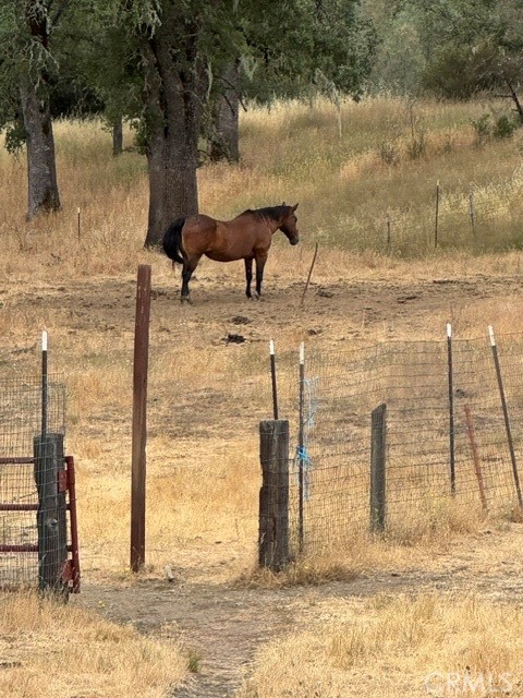 12955 Bottle Rock Property Photo 23