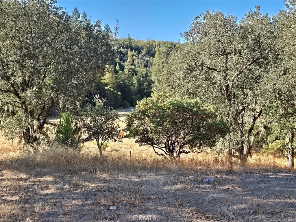 7125 Kahms Property Photo 15