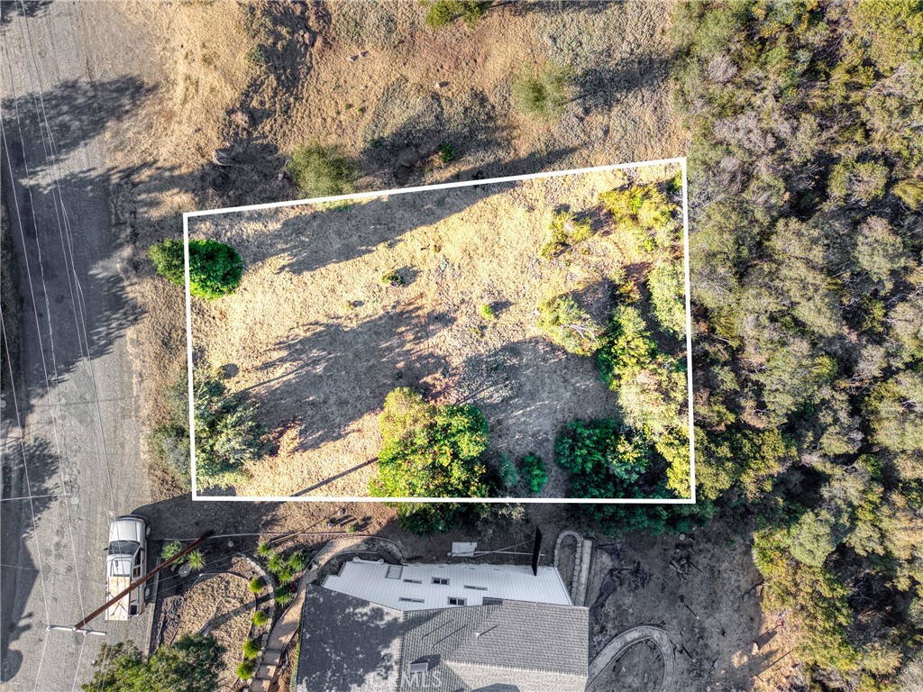 10850 Terrace Way Property Photo 4