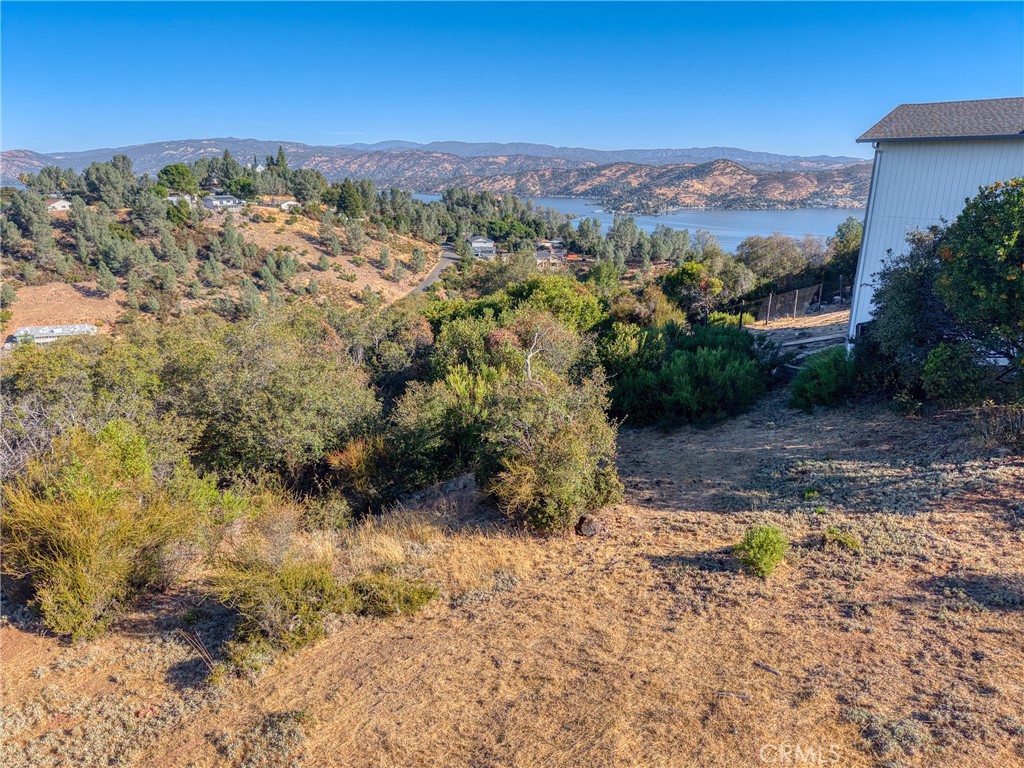 10850 Terrace Way Property Photo 6
