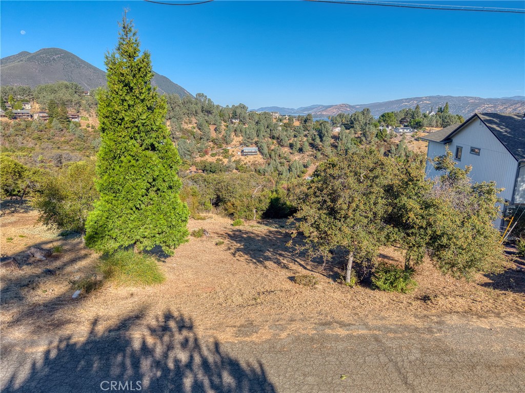 10850 Terrace Way Property Photo 7