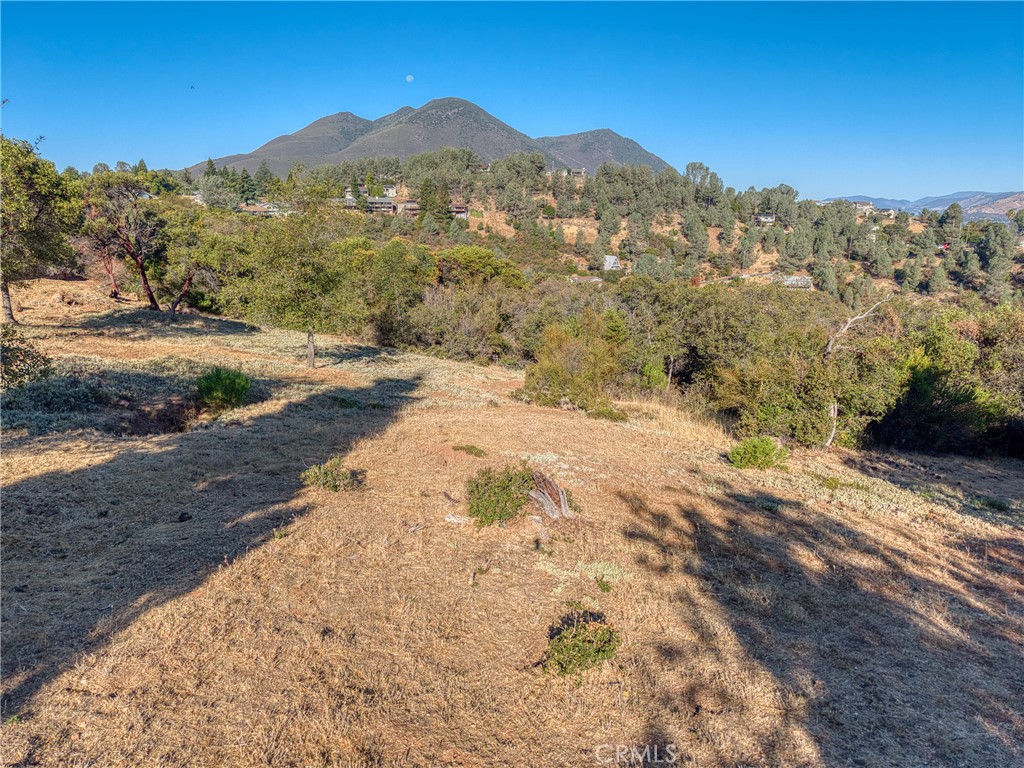 10850 Terrace Way Property Photo 8