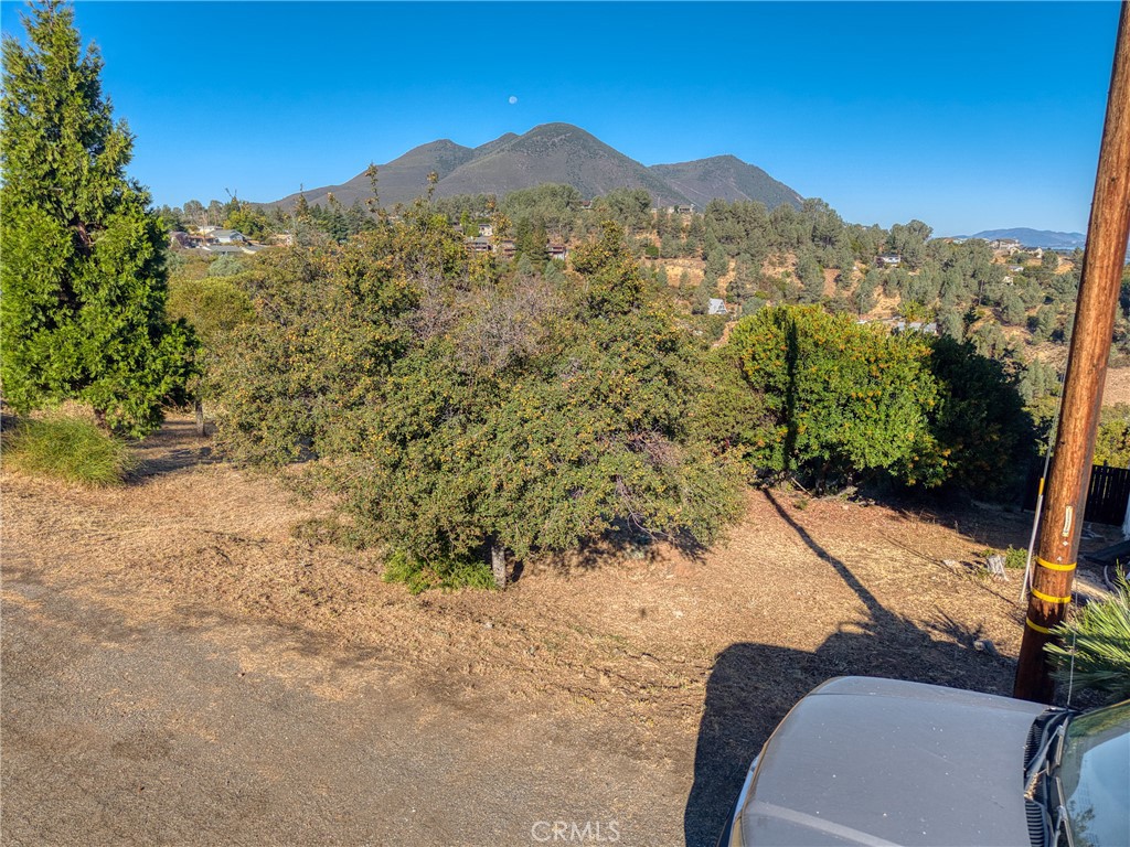 10850 Terrace Way Property Photo 9