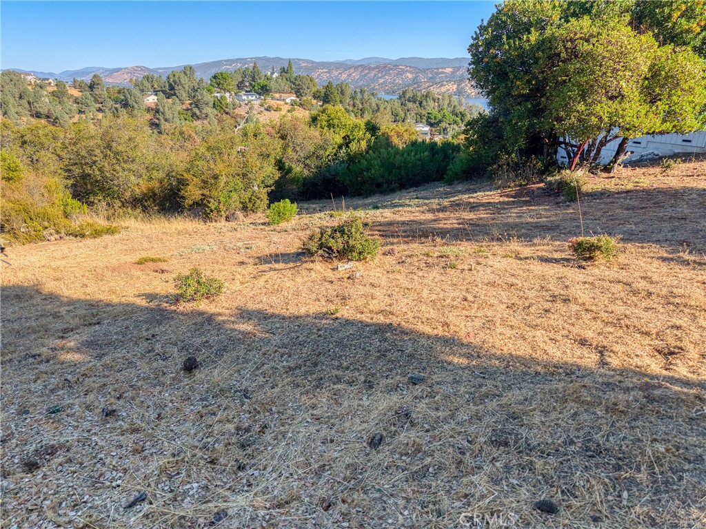 10850 Terrace Way Property Photo 10