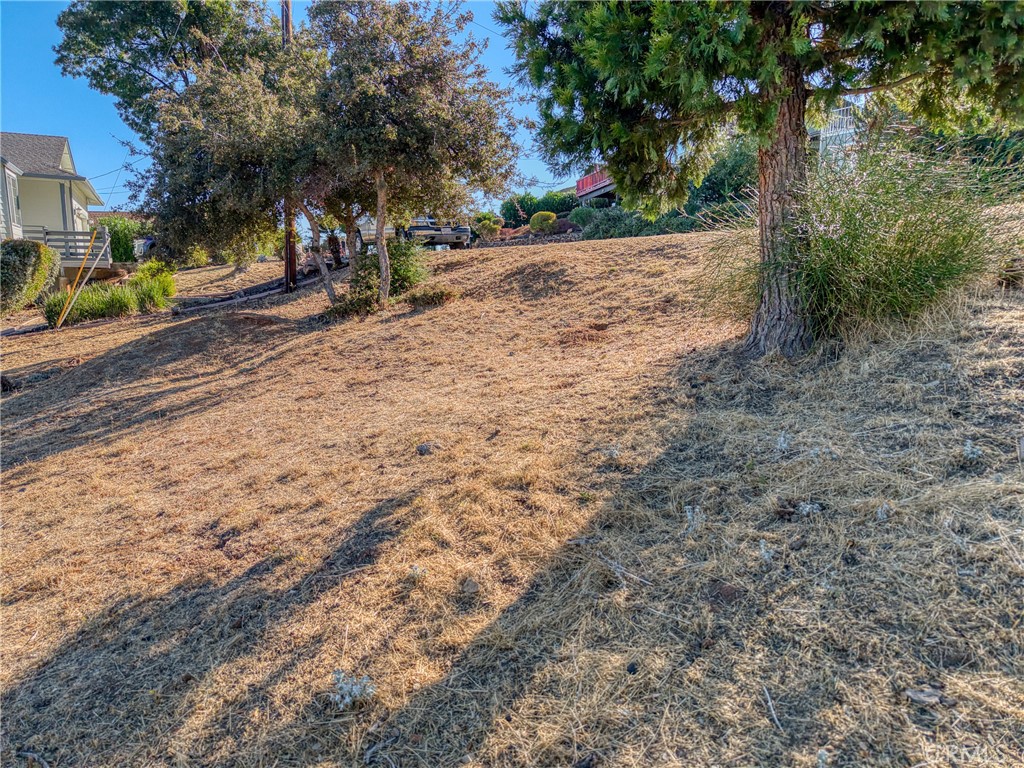 10850 Terrace Way Property Photo 13