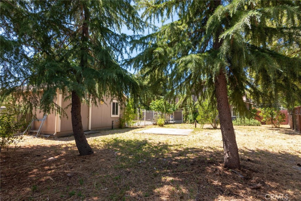 19306 Mountain Meadow S Property Photo 28