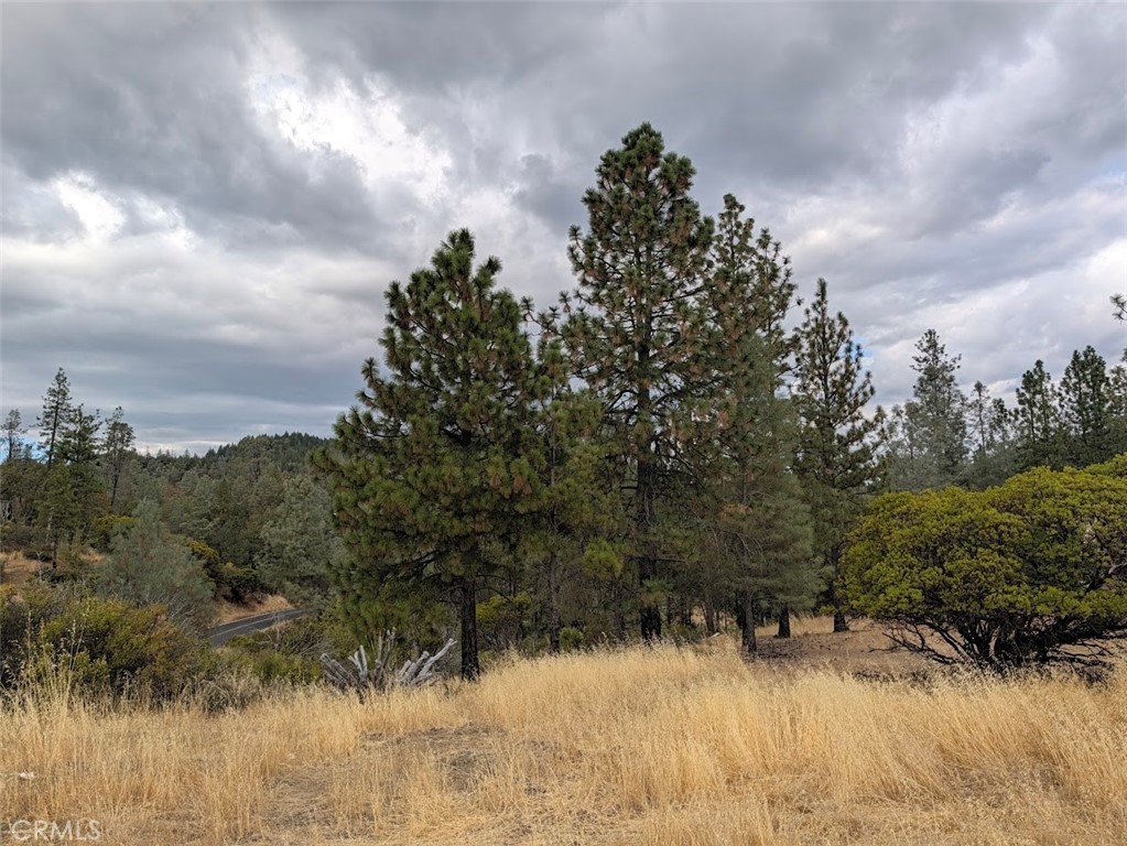 14258 Lema Lane Property Photo 3