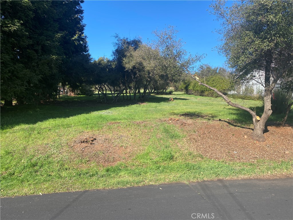 16744 Greenridge Road Property Photo 3