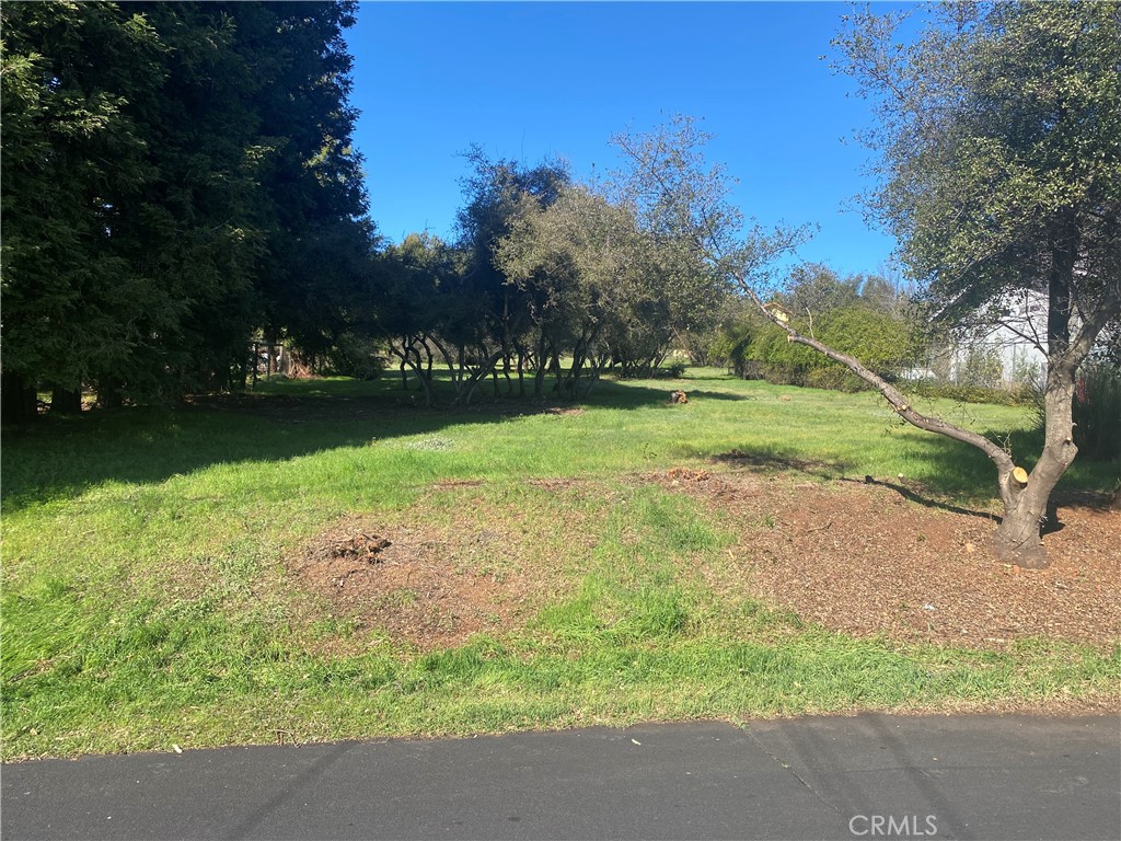 16744 Greenridge Road Property Photo 4
