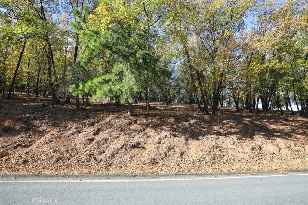 3061 Riviera Heights Property Photo 2