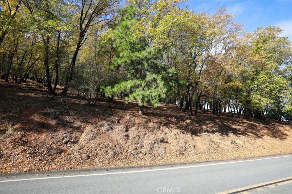 3061 Riviera Heights Property Photo 4