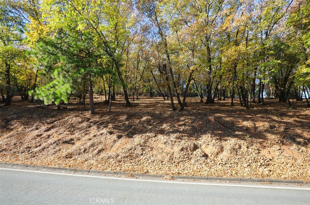 3061 Riviera Heights Property Photo 5