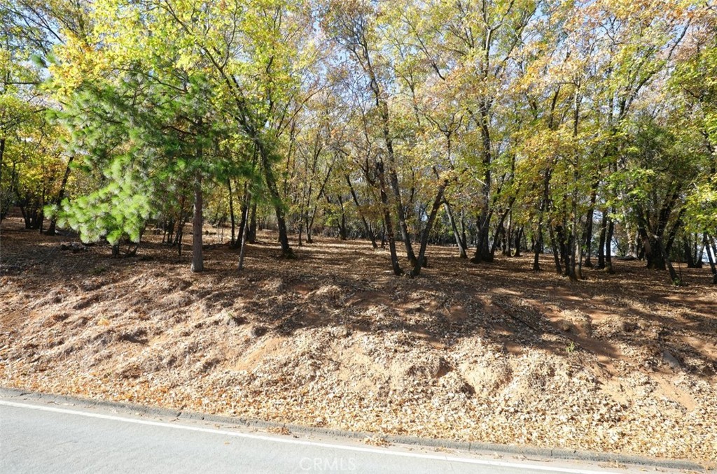 3061 Riviera Heights Property Photo 6