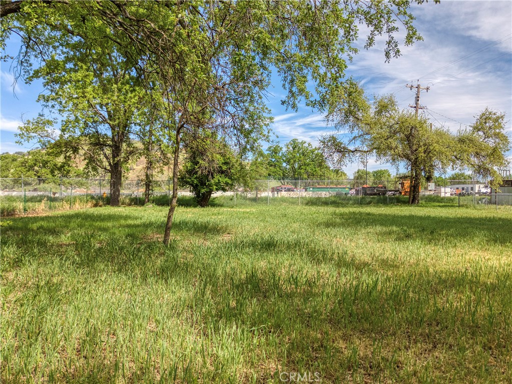 14650 Olympic Drive Property Photo 4