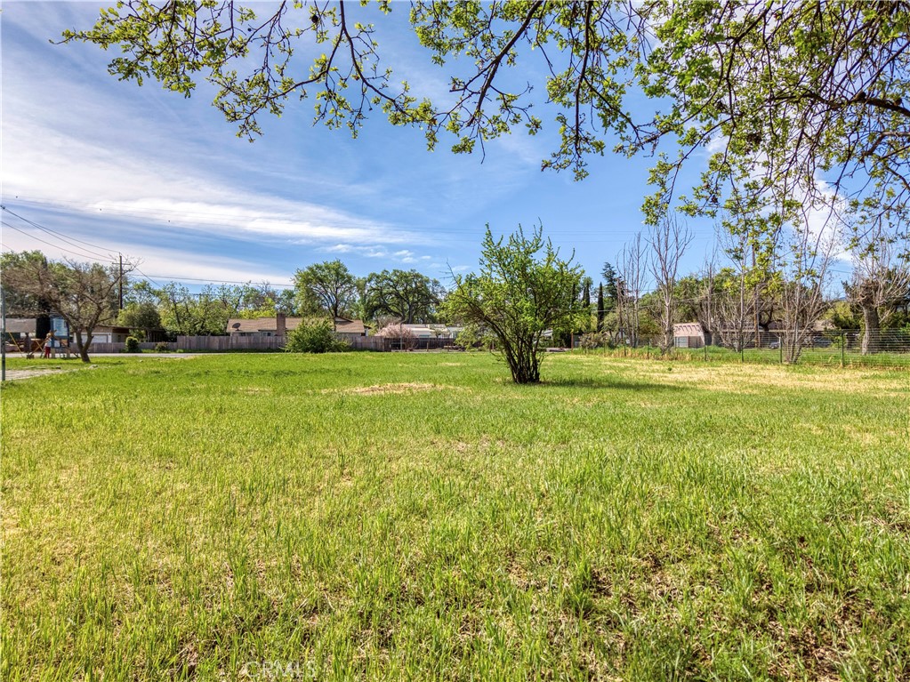 14650 Olympic Drive Property Photo 6