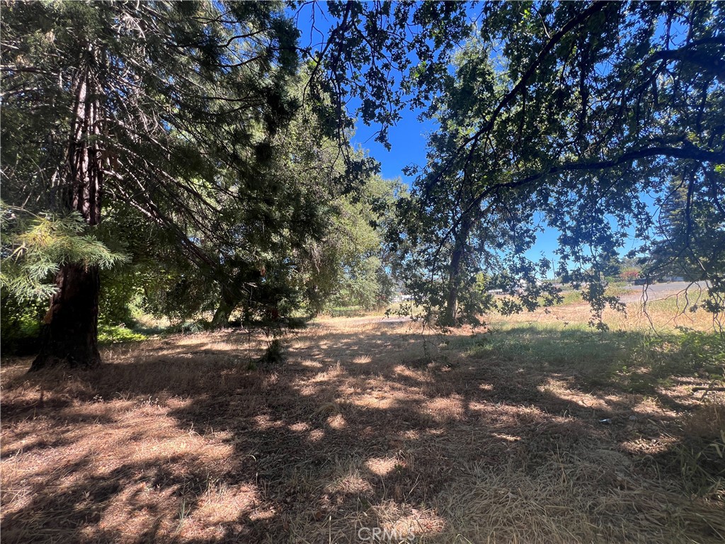 400 E State Highway 20 Property Photo 6