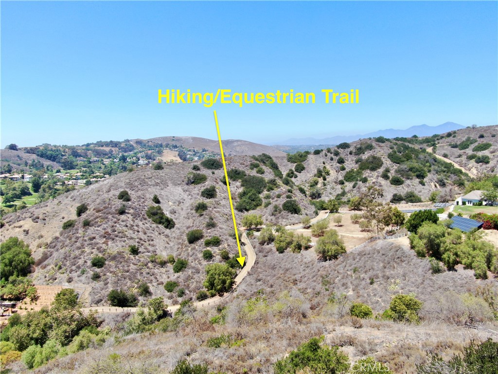 27591 Rolling Wood Lane Property Photo 11