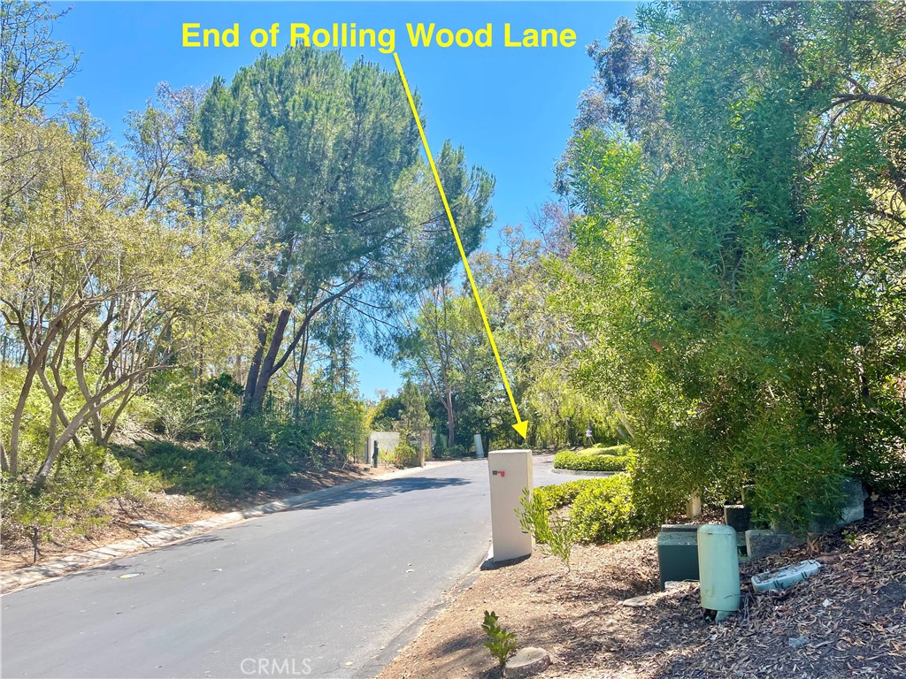 27591 Rolling Wood Lane Property Photo 13