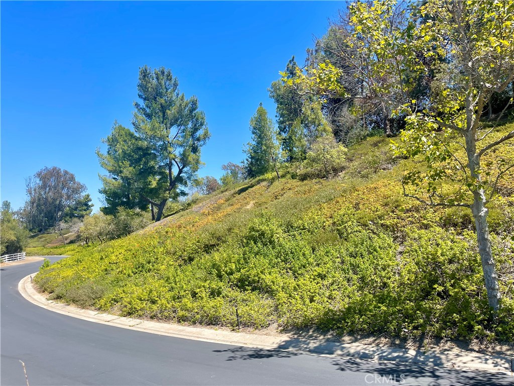 27591 Rolling Wood Lane Property Photo 16