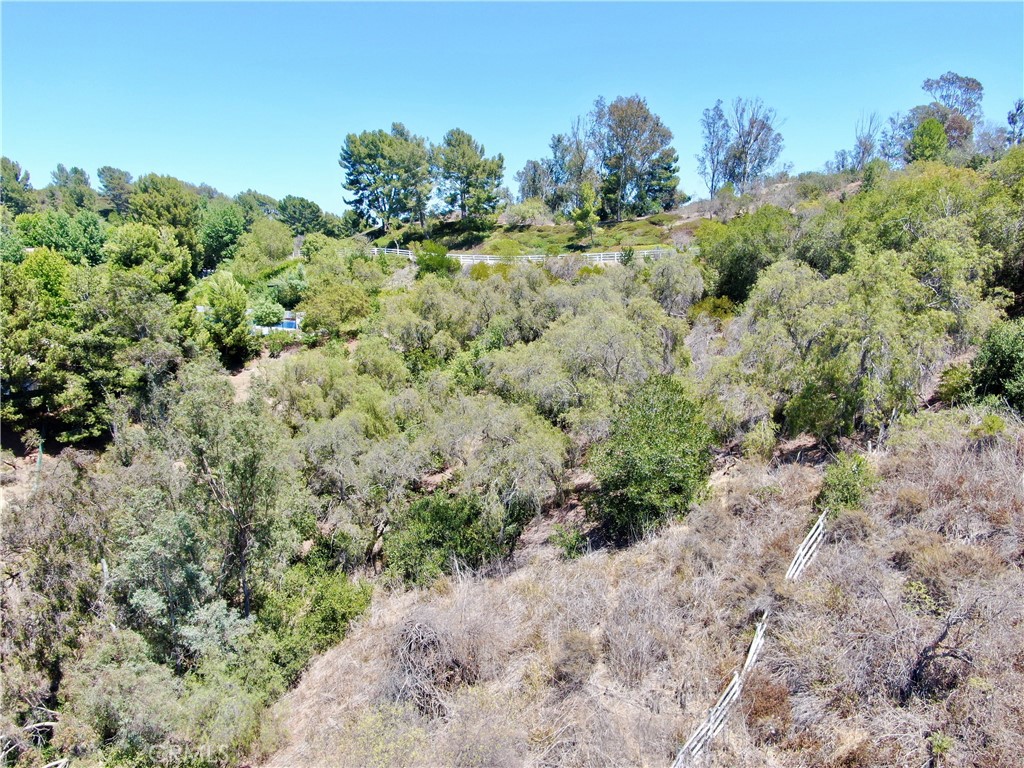 27591 Rolling Wood Lane Property Photo 38
