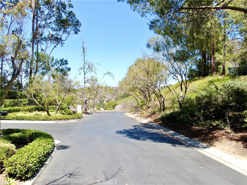 27591 Rolling Wood Lane Property Photo 38