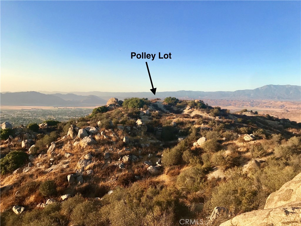 21 Polley Property Photo 3