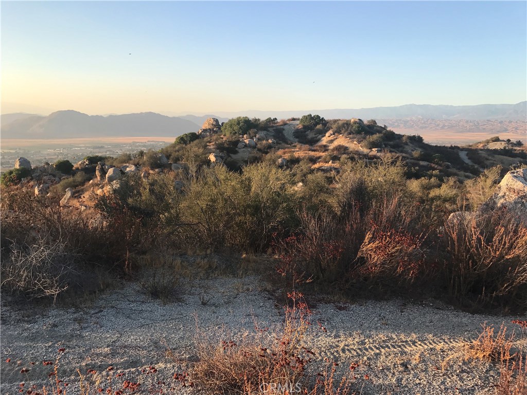 21 Polley Property Photo 4