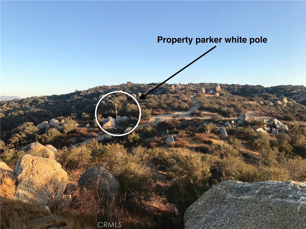 21 Polley Property Photo 16