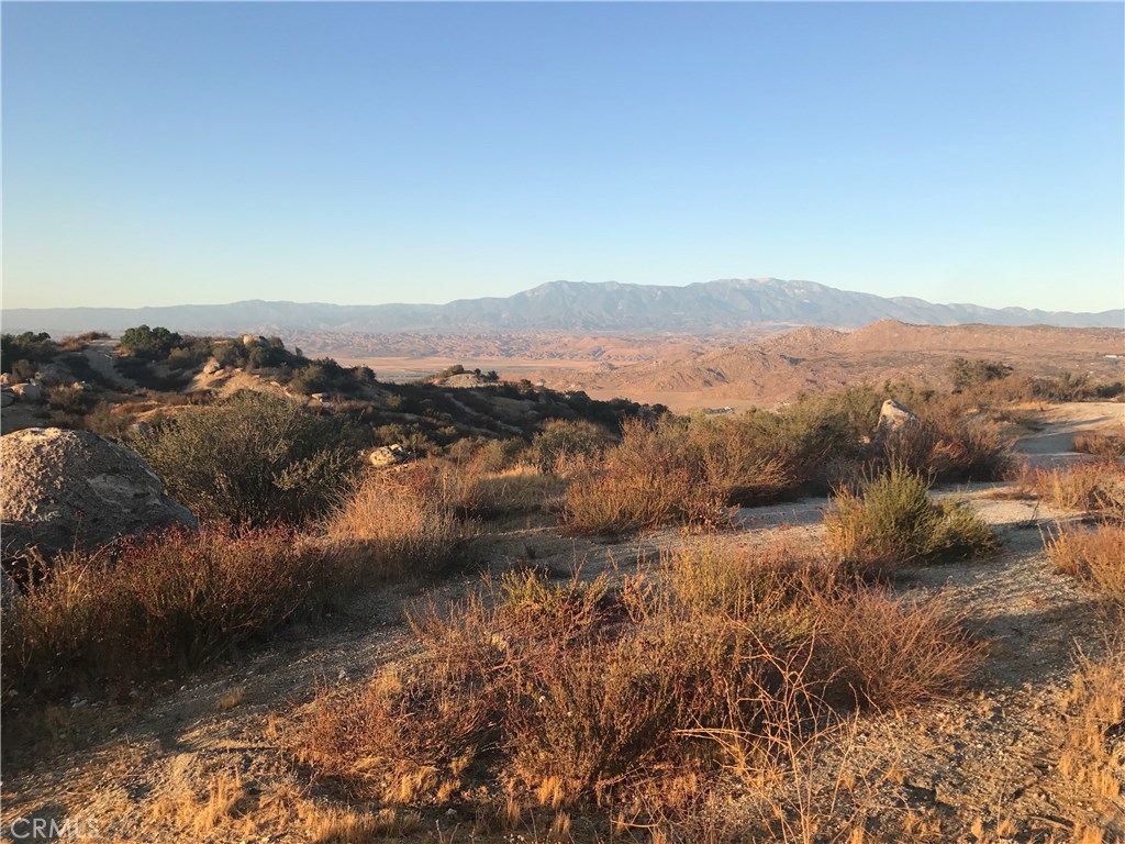 21 Polley Property Photo 17