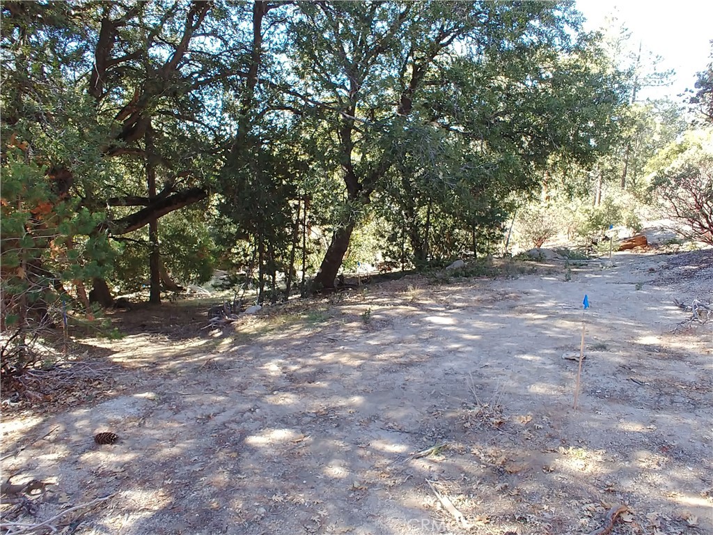0 Schaffer Property Photo 1