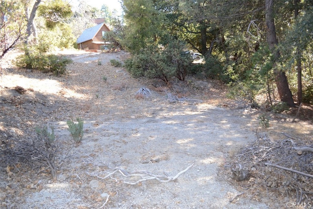 0 Schaffer Property Photo 2