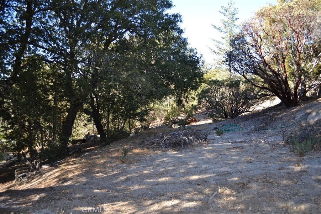 0 Schaffer Property Photo 4