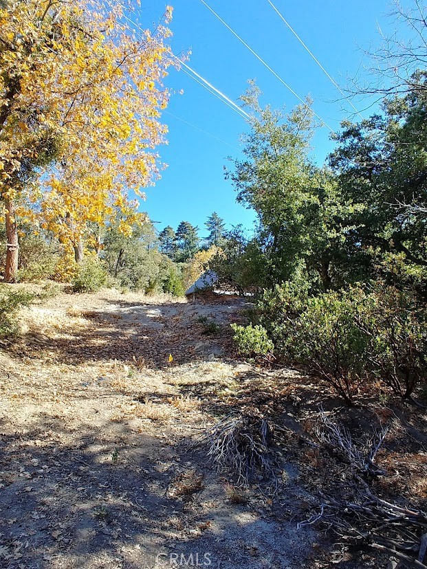 0 Schaffer Property Photo 10