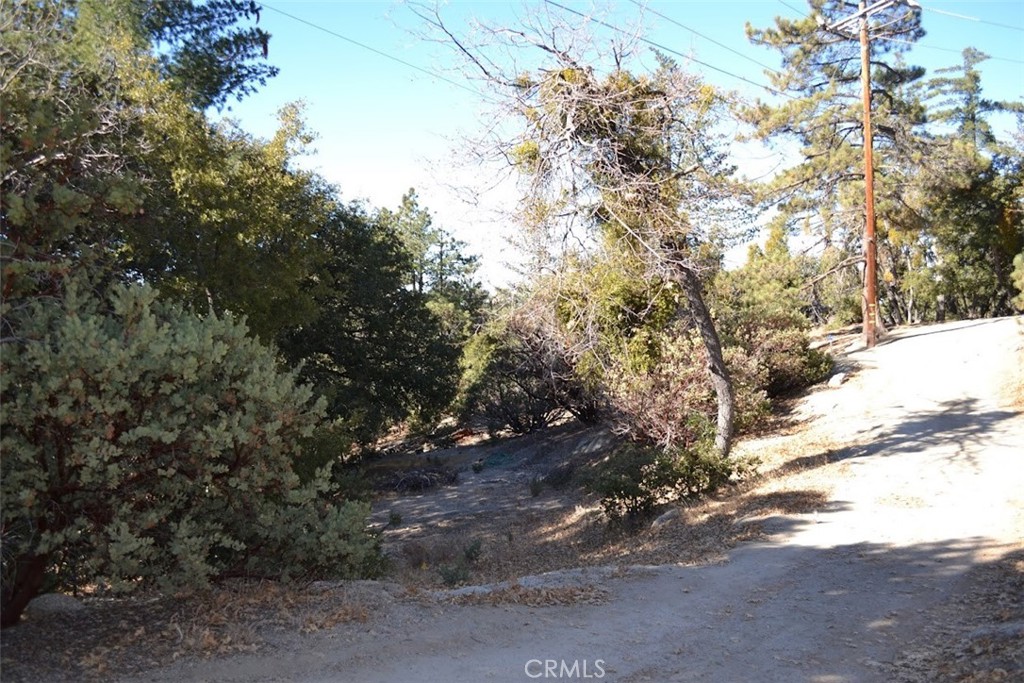 0 Schaffer Property Photo 11