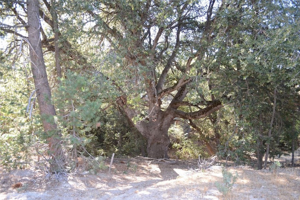 0 Schaffer Property Photo 13