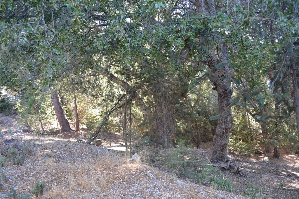 0 Schaffer Property Photo 14