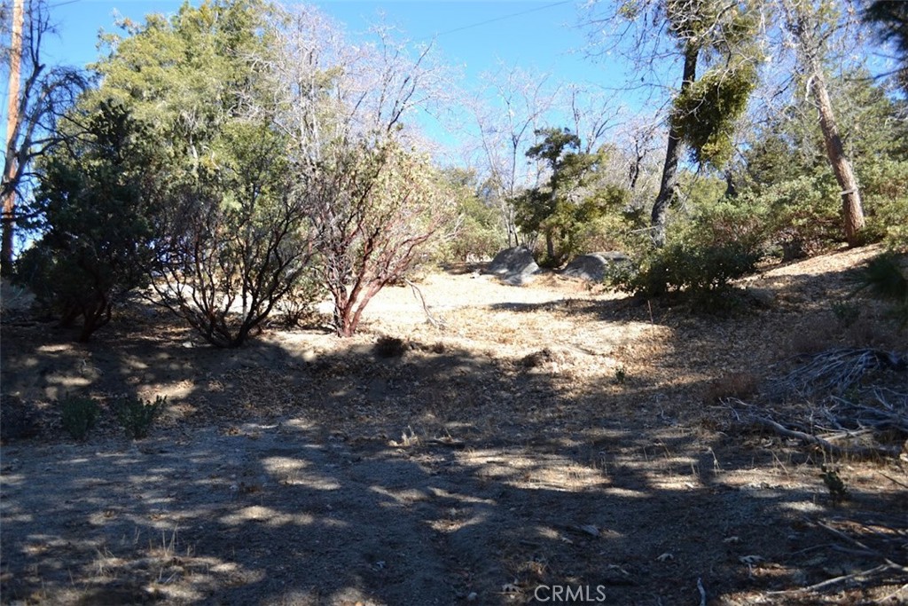 0 Schaffer Property Photo 15