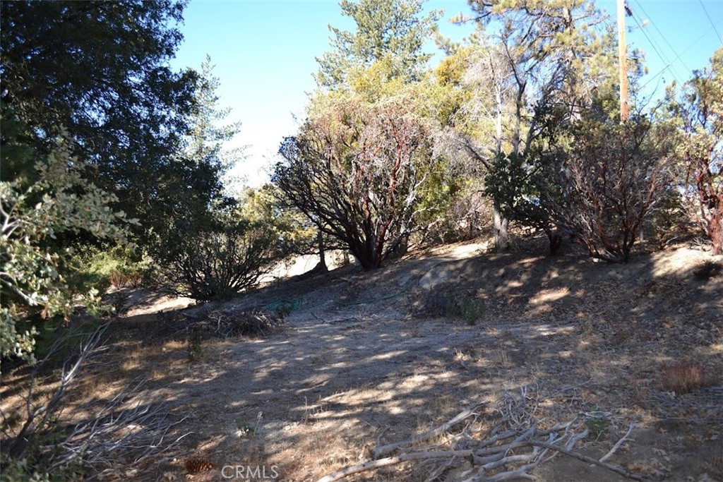 0 Schaffer Property Photo 16
