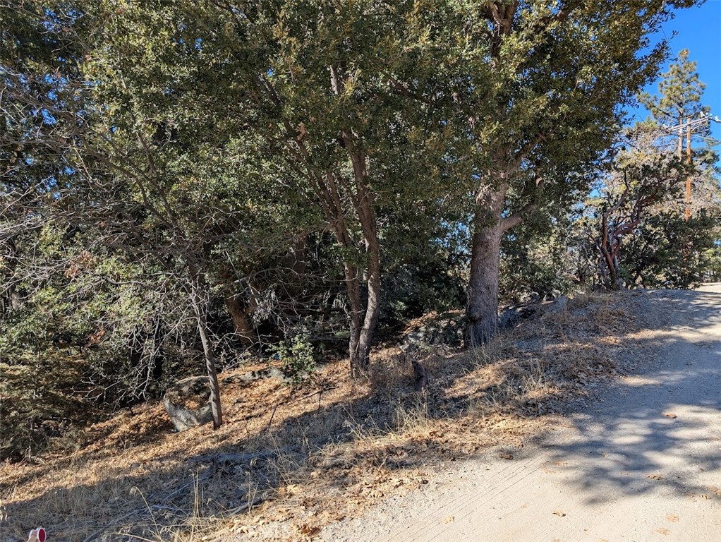 0 Schaffer Property Photo 17