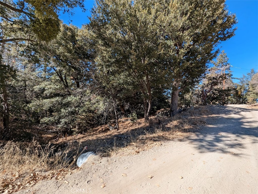 0 Schaffer Property Photo 18