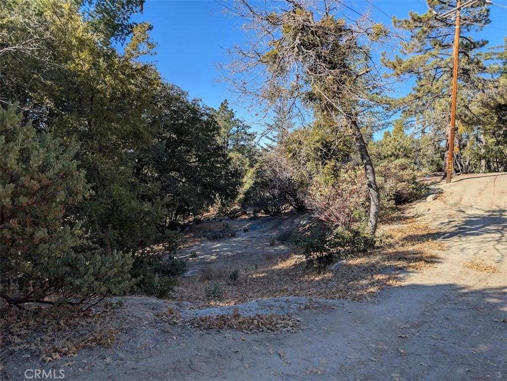 0 Schaffer Property Photo 19